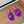 LP Summer Charms Sandal Indigo Suede 220444