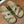 HM Kazimir Sandal Green mix Etoupe Canvas Calfskin 293993