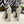SL JODIE PLATFORM SANDALS WHITE CALFSKIN