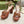 Horsebit 11cm Platform Sandal Brown Calfskin