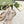 Horsebit 11cm Platform Sandal Cream Calfskin