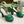 Horsebit 11cm Platform Sandal Green Calfskin