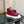 CC High Top Sneaker Red Wool