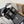 CC 26s Platform Sandal Black Raffia Sheepskin 688697