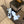 Sandales à plateforme CC 26s en peau de mouton bleu clair et noir 688704