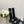 DAD SANDAL BLACK LAMBSKIN