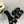 DAD SANDAL BLACK LAMBSKIN