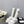 DAD SANDAL WHITE LAMBSKIN