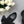 CC 26s Camellia Lug Sole Loafers Black Cotton Suede 673052