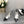 SANDALI CAMELLIA CAP JANE IN PELLE DI AGNELLO NERA E ARGENTO