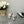 CAMELLIA CAP JANE SANDALS IN SILVER MIX BLACK LAMBSKIN
