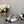 CAMELLIA CAP JANE SANDALS IN SILVER MIX BLACK LAMBSKIN