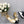 CAMELLIA CAP JANE SANDALS IN GOLD MIX BLACK LAMBSKIN