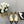 CAMELLIA CAP JANE SANDALS IN GOLD MIX BLACK LAMBSKIN