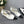 CAMELLIA CAP JANE SANDALS IN WHITE MIX BLACK LAMBSKIN