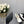 CAMELLIA CAP JANE SANDALS IN WHITE MIX BLACK LAMBSKIN
