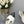 CAMELLIA CAP JANE SANDALS IN WHITE MIX BLACK LAMBSKIN