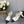 CAMELLIA CAP JANE SANDALS IN WHITE MIX BLACK LAMBSKIN