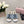 CC 25C Platform Slide Sandals Steed Blue Fabric 213131