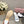 CC 25C Mid Heel Mule White Genuine Calfskin 212954