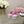 CC 25C Mid Heel Mule Pink Fabric Material 212962