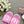 CC 25C Mid Heel Mule Pink Fabric Material 212962