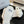 CC Slippers White Fleece Wool