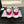BIG-HEAD COOKIE SHOES IN MAGENTA PURPLE LAMBSKIN