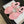 CC 26C Sandales Double C en peau de mouton rose