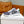 CD LOW TOP BASIC SNEAKER NAVY AND WHITE JACQUARD