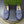 GG Men's Horsebit Loafer Blue Suede 600387