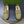 GG Men's Horsebit Loafer Olive Green Suede 600394