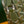 CAP-VERT PM BAG 22 IN WOODLAND GREEN GOYARDINE CANVAS