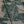 T-shirt surdimensionné Burberry homme Knight en coton vert-gris