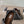ballet flat in eyelet black lambskin