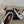 ballet flat in vienne white lambskin