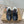 Miu x Balance Sneakers Black Cowhide
