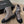 Chanel Electric Show Ankle Boot jBrown and Black Leather 507523