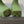 GREEN SCULPTED RUBBER BOOTS WITH GOLD MONOGRAM