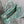 medium dioriviera book tote 36 aquamarina tiger embroidery canvas