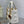 CD Lady 17cm White Lambskin Brown Charm