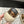Golden Goose 2025 Sneaker Space-Star Sabot Léopard Laine Beige 141173