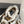 Golden Goose 2025 Sneaker Space-Star Sabot Léopard Laine Beige 141173