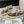 Golden Goose 2025 Sneaker Space-Star Sabot Léopard Laine Beige 141173