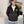Prada Men’s Windbreaker Jacket Black Nylon Fabric