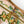 KEEPALL BANDOULIÈRE 50 IN SAND TROPICAL MOTIFS MONOGRAM SURFIN CANVAS