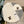 SET CLASSIC SCARF AND HAT IN WHITE WOOL 414786