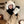 BALACLAVA HAT IN BLACK MIX WHITE FLEECE 422216