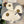 SET SCIARPA E CAPPELLO IN LANA BEIGE 434611 