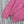 CC 2025 Veste à Capuche Laine Rose 325887